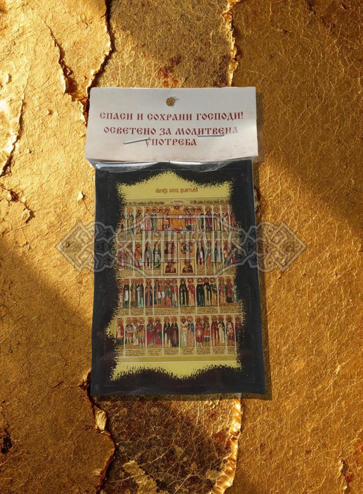 Икона „Събор на Светите Лечители“. Троицко - Серафимовски скить