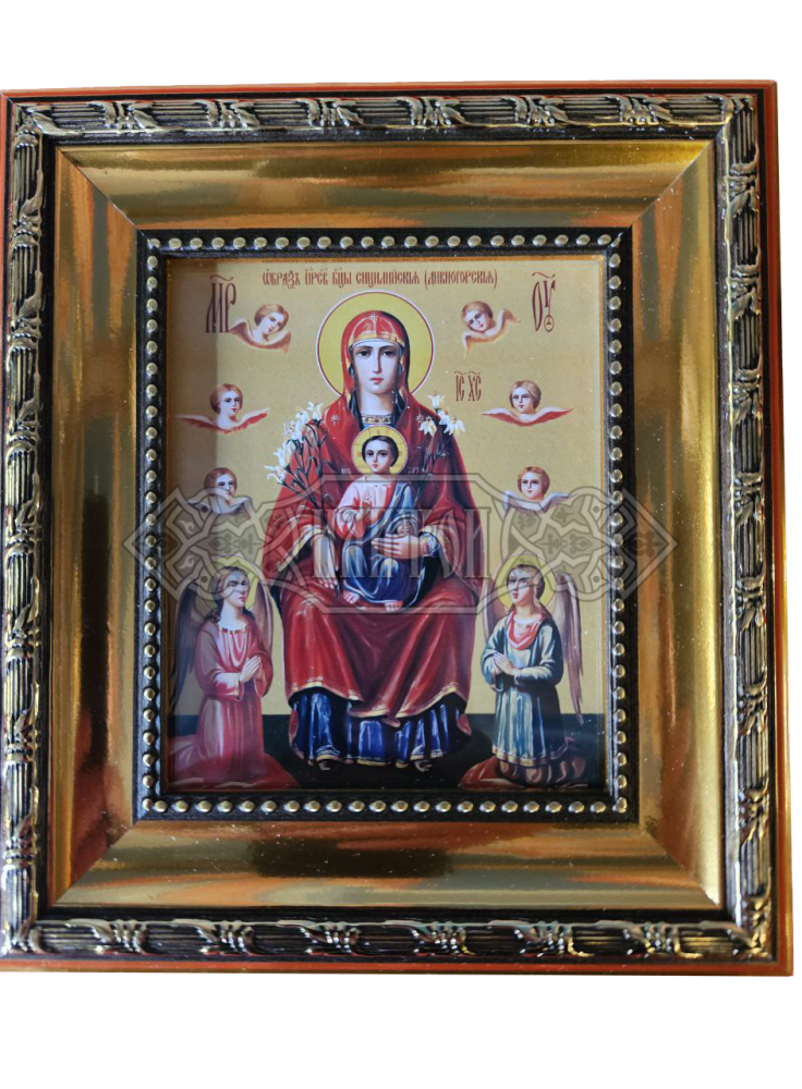 Икона „Света Богородица Дивногорска“, 16.5/19.